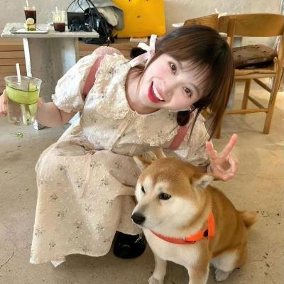 奔跑吧风扇